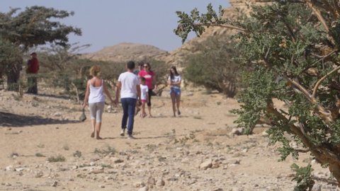 duka, dhofar Oman - Marc 18, 2020 : 
A group of tourists visiting frankincense trees