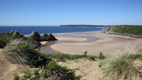 Three Cliffs Bay south coast the Gower Peninsula Swansea Wales uk with pink flowers near to Oxwich beautiful coastal location
