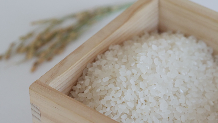 White rice and rice ears. Safe and healthy food ingredients. Asian culture, staple food, carbohydrate Royalty-Free Stock Footage #1066845343