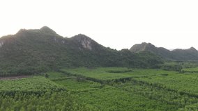 Aerial view of area near Phong Nha Ke Bang cave, Quang Binh, Vietnam