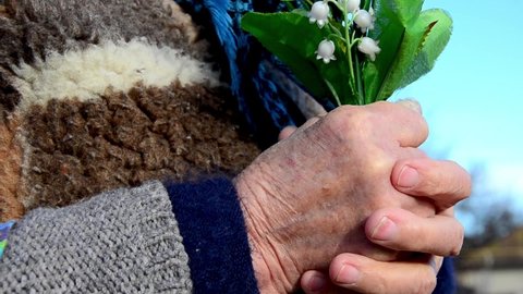  Congratulations concept. Spring bouquet	.Aged mother with a gift. Happy grandmother with flowers on a holiday. Giving flowers to grandmother.Flowers in grandmother's old wrinkled hands. 