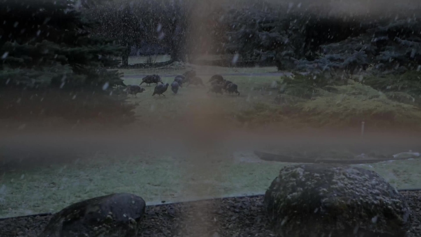 Snow and rain in by a lake