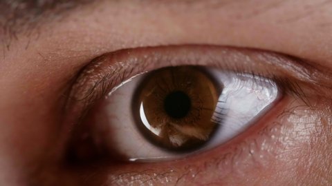 Video of blinking male brown eye