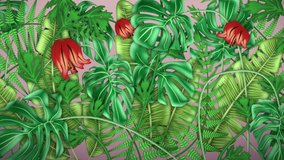 Tropical plants, loop-able from 20:00 to end. Monstera, Banana Palm. Leaves, ferns, flowers animation on pink background. - Powered by Shutterstock - Get 15% off with code: PIKWIZARD15