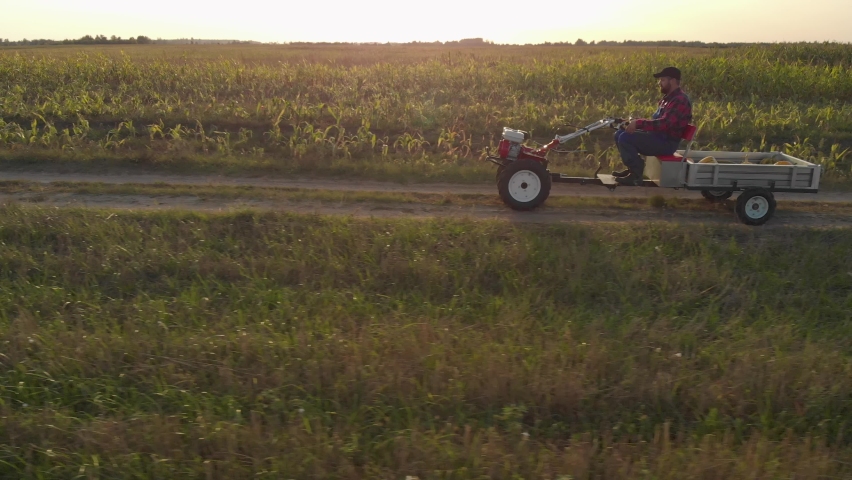 Farmer on mini tractor with trailer moves along narrow country road along farmland with field of corn crops. Side view of general plan against the background of sunset