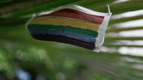 A medical protective mask against the virus with multi-colored lines of the LGBT flag weighs on a palm tree branch.	 - Powered by Shutterstock - Get 15% off with code: PIKWIZARD15