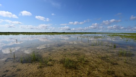 Timelapse of cloud formation over solution holes in Hole-in-the-Donut habitat restoration area in Everglades National Park, Florida 4K.