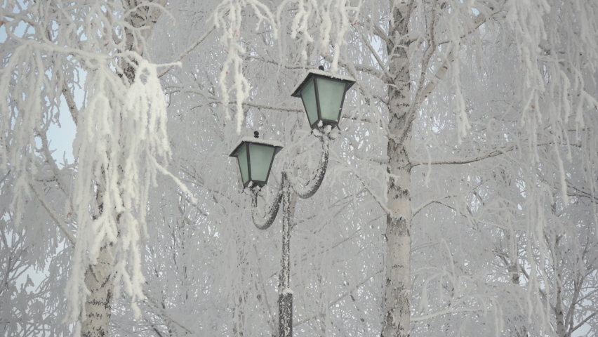 Street lamp in winter park lamp post - Powered by Shutterstock - Get 15% off with code: PIKWIZARD15