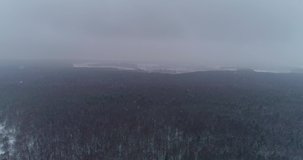 Panorama of the forest with a drone