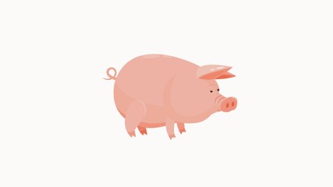 Pig. Animation of a pig with an alpha channel. Animation of a cartoon pig on a transparent background. The pig moves its ears, tail, head, mouth, and blinks its eyes.