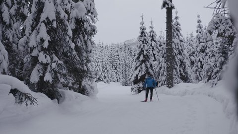 Slow motion shot of Professional athlethe cross country skier running on skis trough the frozeen forest covered in snow
