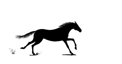 Galloping horse. Animated hand drawn black mustang silhouette cartoon seamless loop running equine motion. Alpha channel isolated transparency 4K