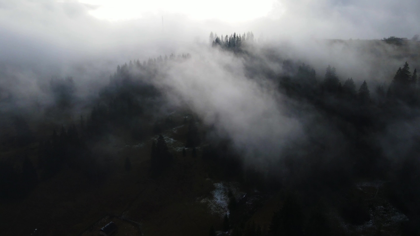Rainy weather in mountains. Misty fog blowing over pine tree forest. Aerial footage of spruce forest trees on the mountain hills at misty day. Morning fog at beautiful autumn forest.