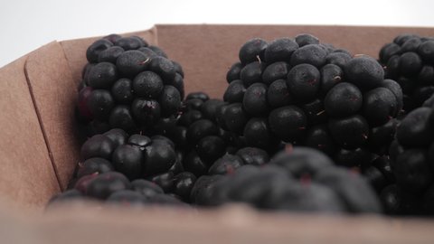 Panning shot of fresh blackberries close up in a punnet