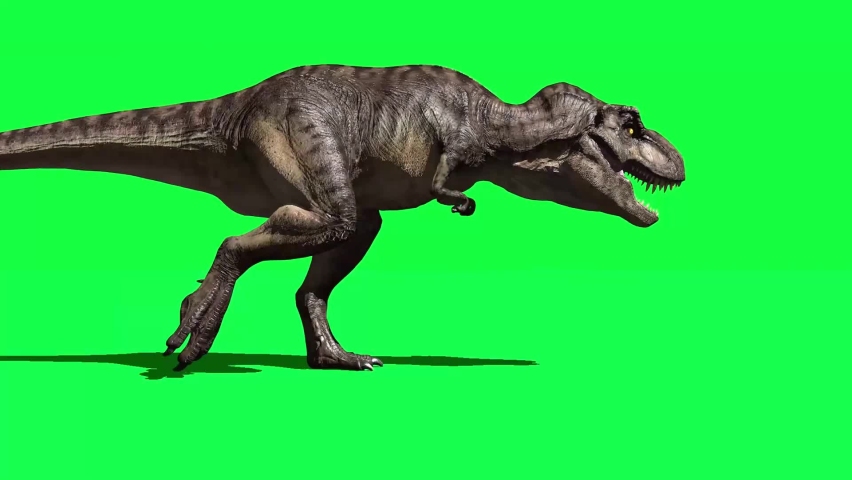 Video Stok Tyrannosaurus Rex Roaring On Green Screen (100% Tanpa Royalti) 1...