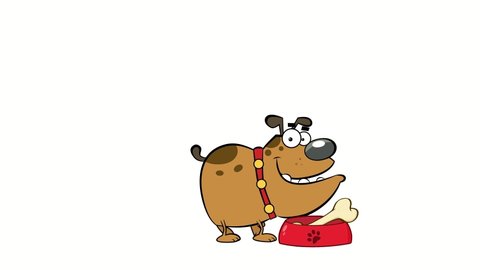 Bulldog Cartoon Character Eating Bone. 4K Animation Video Motion Graphics With White Background 