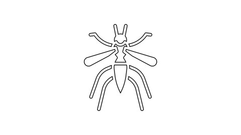 Black line Mosquito icon isolated on white background. 4K Video motion graphic animation.