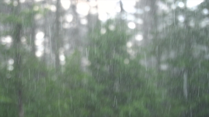 Heavy precipitation heavy rain trees Royalty-Free Stock Footage #1067028124