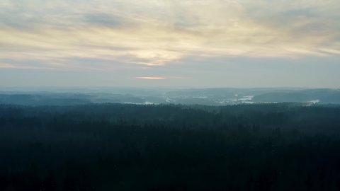 Aerial cinematic shot hilly winter forest, hills covered with tall pine trees. Top view flyover beautiful spring woodland at dusk. Beautiful landscape after sunset or right before sunrise