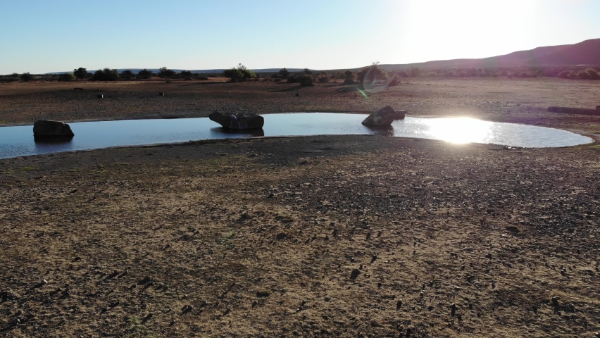 Fly over watering hole into the sun