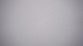 Snow falling down in slow motion. Heavy snow, large flakes. Grey color in background.