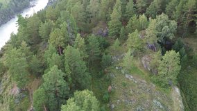 A wonderful aerial video with an evening landscape in the Altai mountains, on the coast of the Katun River. Republic of Altai, resort village Chemal, Russia.