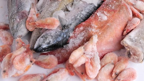 variety of frozen sea sustainable food, fish, shrimps, mackerel, hake, perch, trout, salmon with ice in market 4K