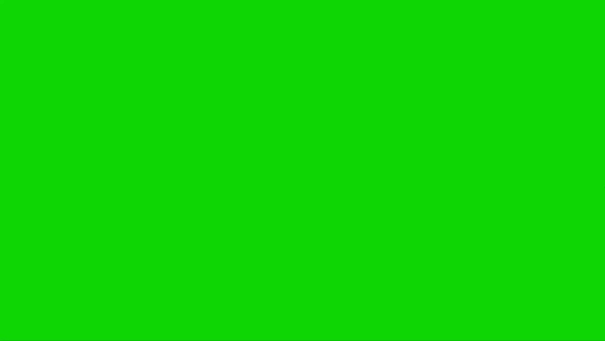 Velociraptor Dinosaur Attacking on Green Screen