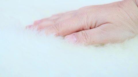 female hand ironing natural sheep fur, white sheepskin texture with soft hairs, the concept of processing, production of furrier products, stress relief, psychological stress