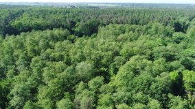 Large green forest on a drone video. Villages and fields in the distance