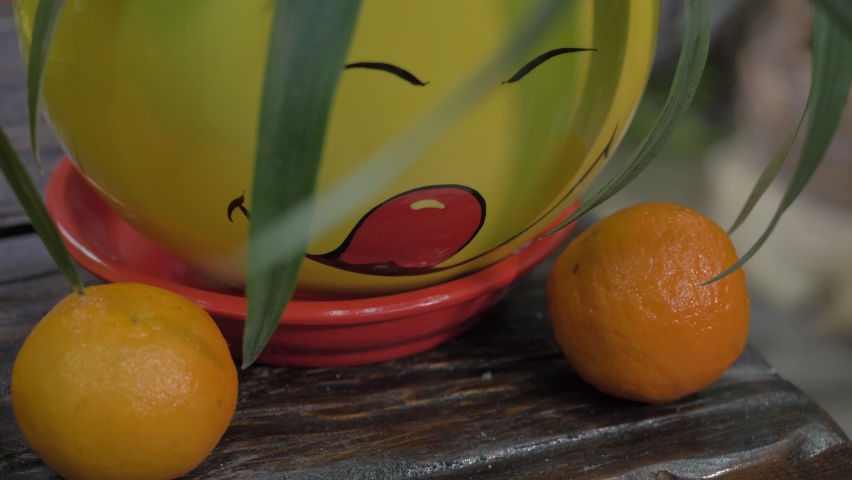 Oranges on a table, orange view, view of orange on table. oranges near plants in pots.