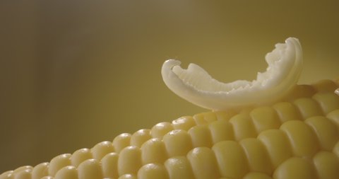 Piece of butter slowly melting on top of freshly boiled corn cob. Tasty fresh sweet corn. Food and drink concept close up 4k footage