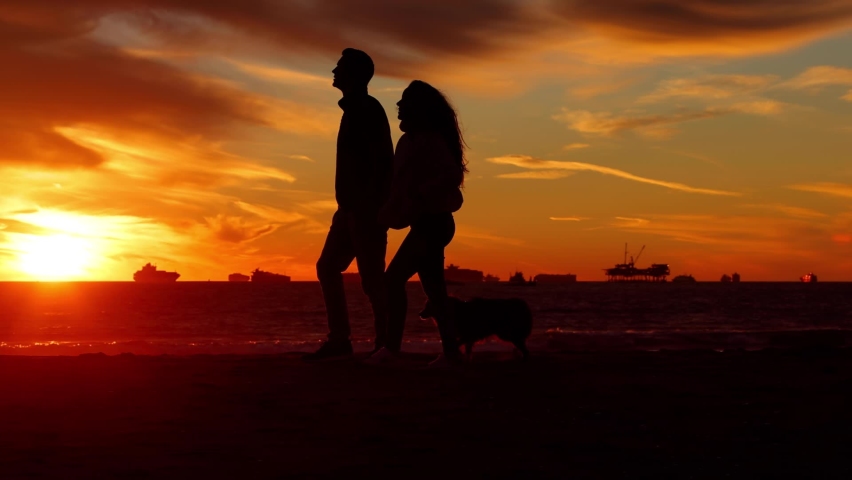 Happy couple walking and playing with their dog on the beach at sunset. Royalty-Free Stock Footage #1067088316