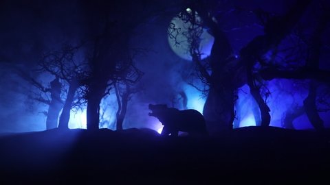 Horror view of big bear in dead forest at night. Angry bear behind the cold blue toned cloudy sky under moonlight. The silhouette of a bear in foggy forest dark background