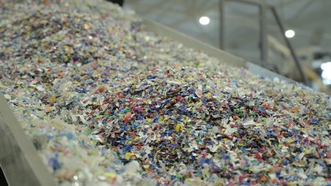 Plastic recycling plant. Conveyor with shredded plastic from PET bottles.