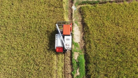 Footage B roll, Aerial view of Combine harvester machine with rice paddy field. Agriculture farm of rice harvest and farmer. Natural the texture background. Agriculture concept growing rice plants.