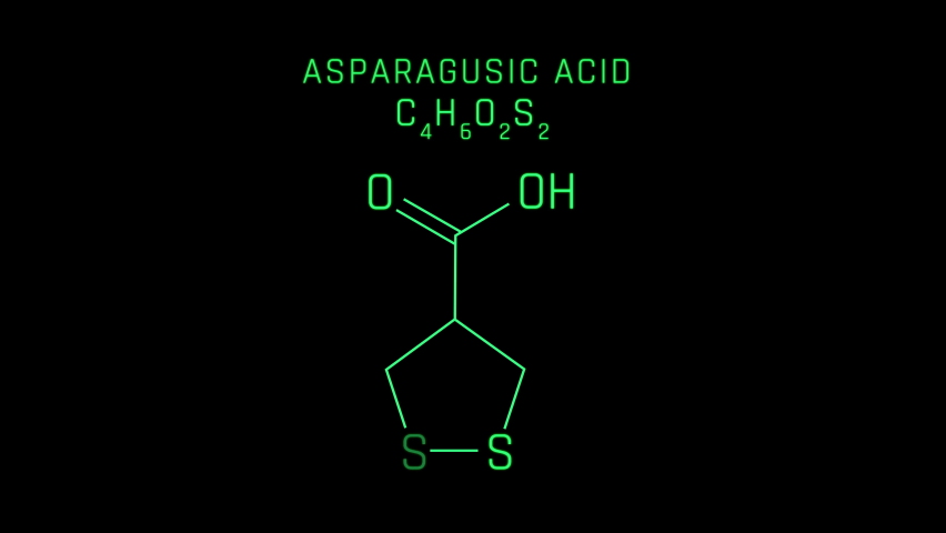 アスパラガス イラスト Stock Video Footage 4k And Hd Video Clips Shutterstock