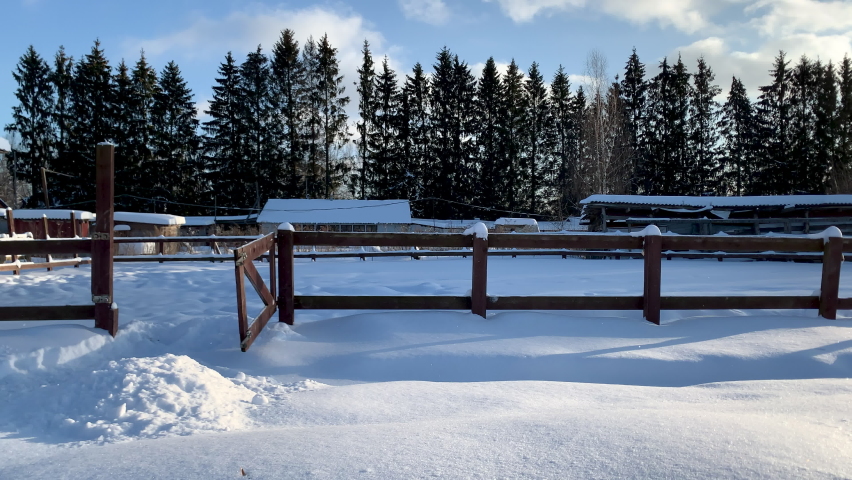 Gate moves from the wind. Winter landscape with forest and snow. Stock video.