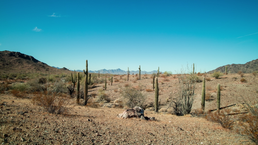 A time-lapse of saguaro cacti under the afternoon sun in the Sonoran Desert near Quartzite, Arizona just north of the Kofa National Wildlife Refuge. Royalty-Free Stock Footage #1067163913