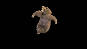 Bear Dancing CG fur 3d rendering animal realistic composition 3d mapping cartoon, Animation Loop, Included in the end of the clip with Alpha matte.
