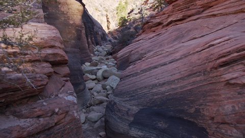 Small desert canyon carved by years of erosion from water and wind in Zion walking up the dry riverbed.