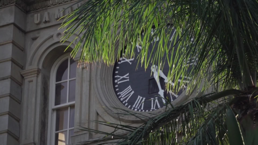Aliiolani Hale building clock hidden behind waving palm leaf - Long Close up shot
