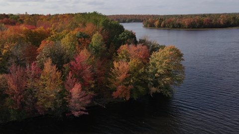 Aerial footage rising over colorful autumn trees to reveal a body of water 库存视频