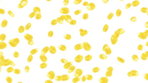 Flying many corn grains on white background. Yellow sweet corn seeds. Vegetarian. Healthy food. 3D loop animation of corn rotating.