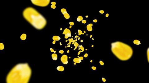 Flying many corn grains on black background. Yellow sweet corn seeds. Vegetarian. Healthy food. 3D loop animation of corn rotating.