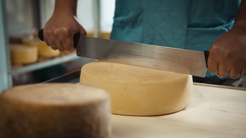 
Manufacture of cheese. Cheese factory. Artisan cheese. Dairy.
