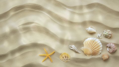 Underwater background. Bottom surface with copyspace. Seashells lying on the wavy sand of seabed. Seamlessly loop footage.