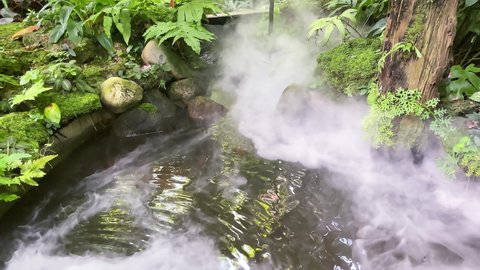 Calm relaxing beautiful nature background concept. Fog on the pond decorated in tropical garden. Beautiful tropical rain forest green garden with mist fog stream flow over the pond in natural park.