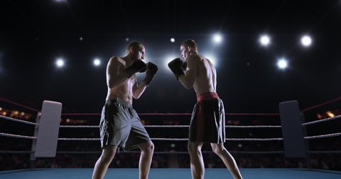 Two boxers fighting on the professional ring. One boxer strikes, other boxer dodges a hit. Arena is made in 3d with animated crowd.
