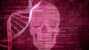 Animation of 3d pink dna strand spinning and data processing over skull. Global medicine, science and genetics digitally generated video. - Powered by Shutterstock - Get 15% off with code: PIKWIZARD15